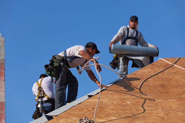 Best Best Roofing Contractors  in Senoia, GA