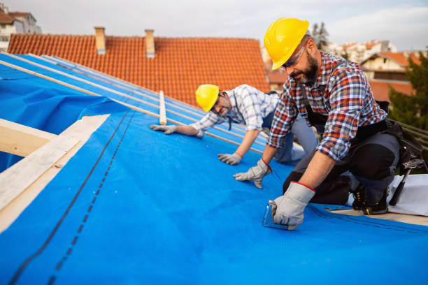 Best Storm Damage Roof Repair  in Senoia, GA
