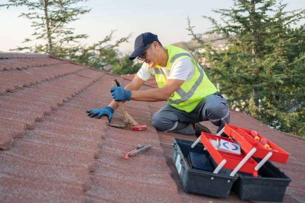 Roof Installation Near Me in Senoia, GA