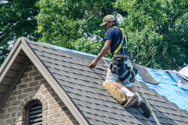 Best Commercial Roofing Services  in Senoia, GA